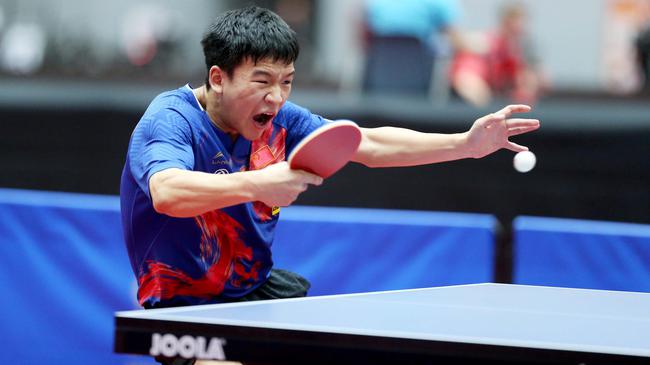 引发了国内 引发了国内