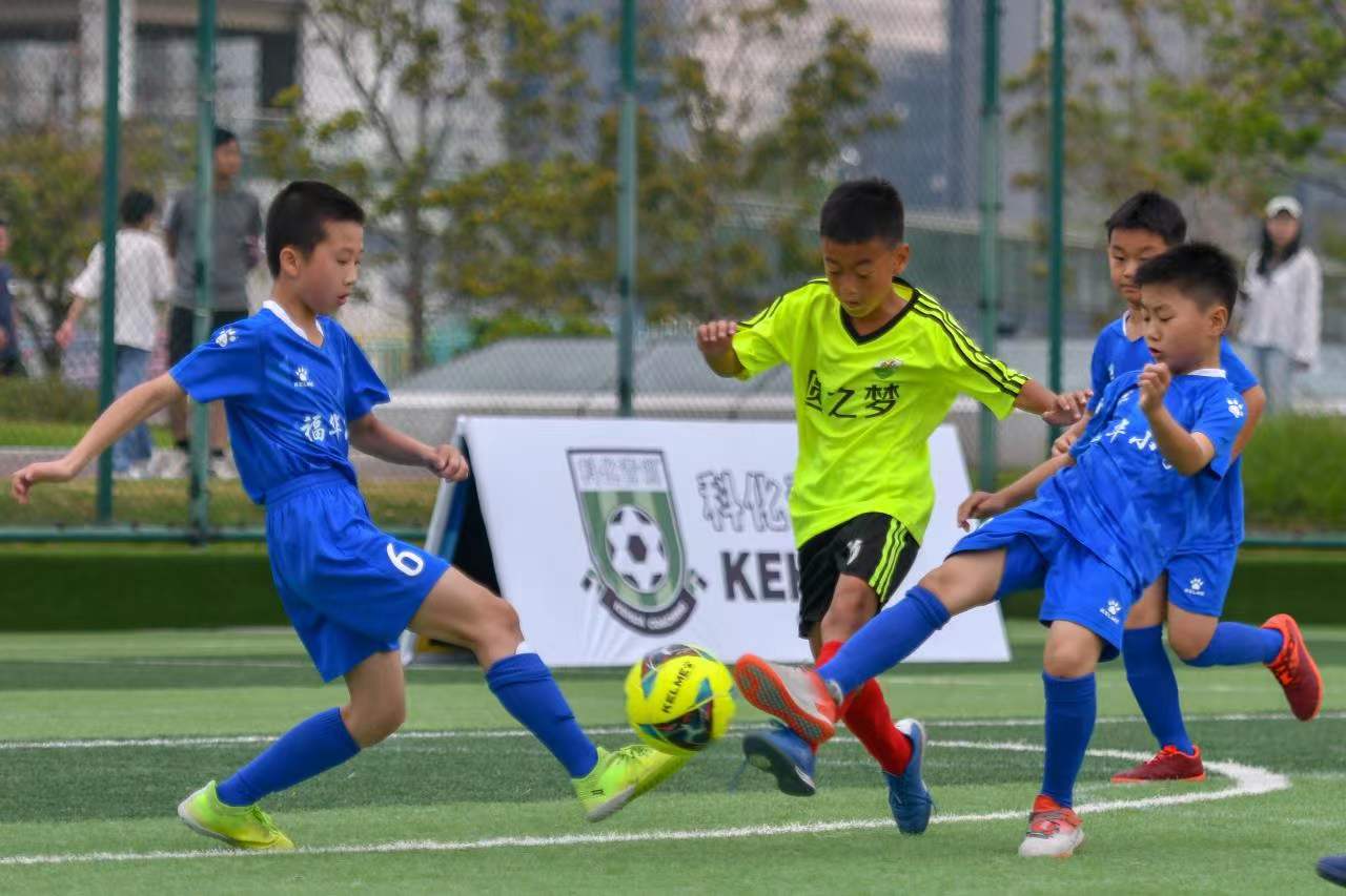 立刻引发了 立刻引发了