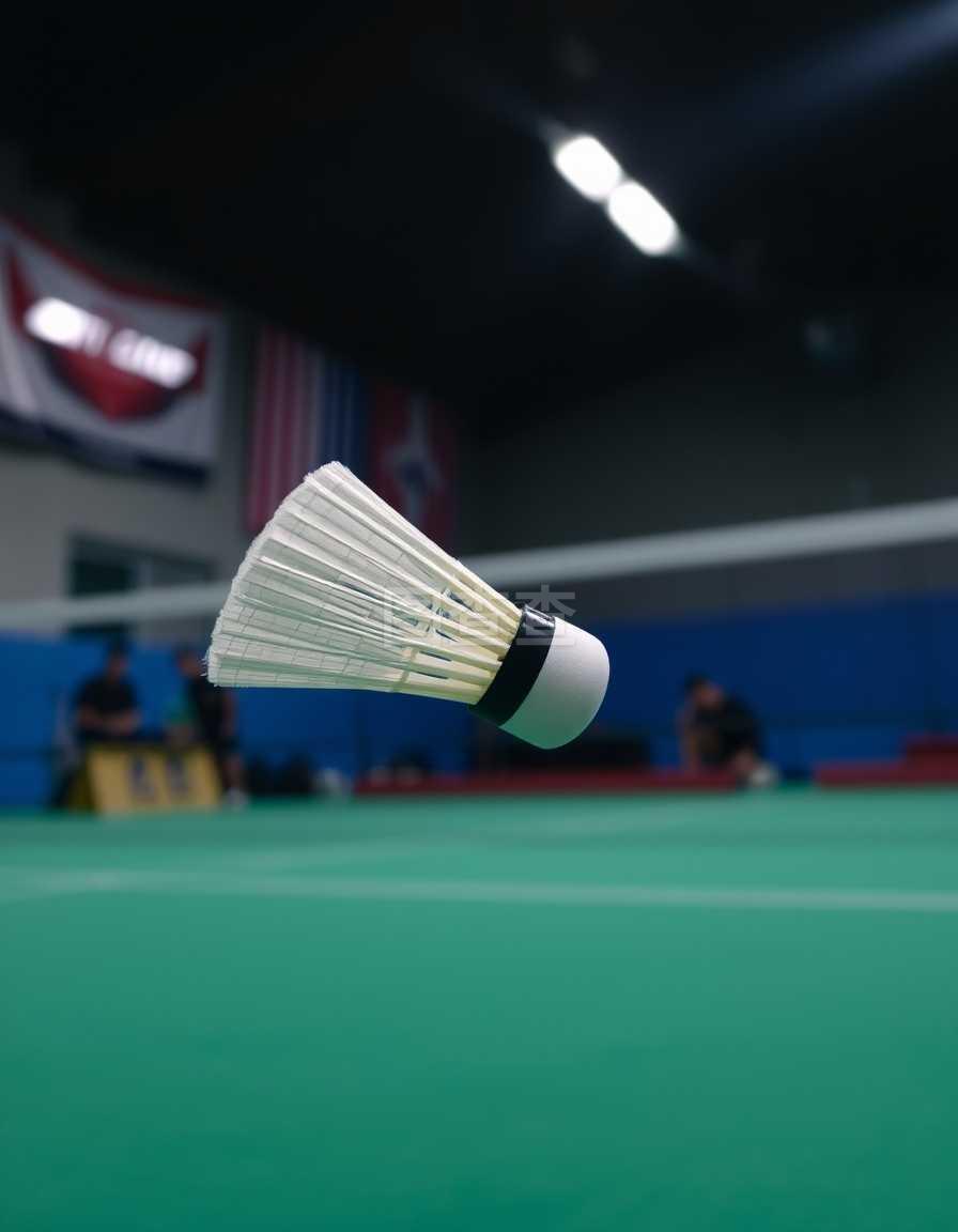 这项决定象 这项决定象