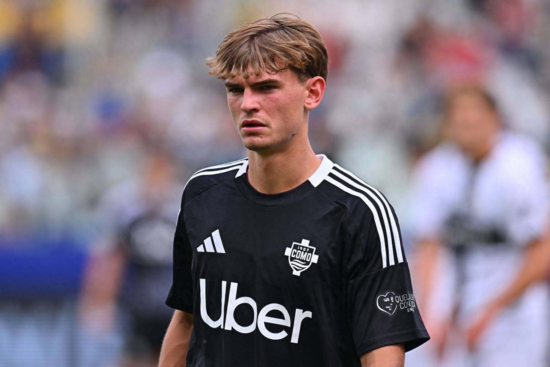 生态等多个 生态等多个