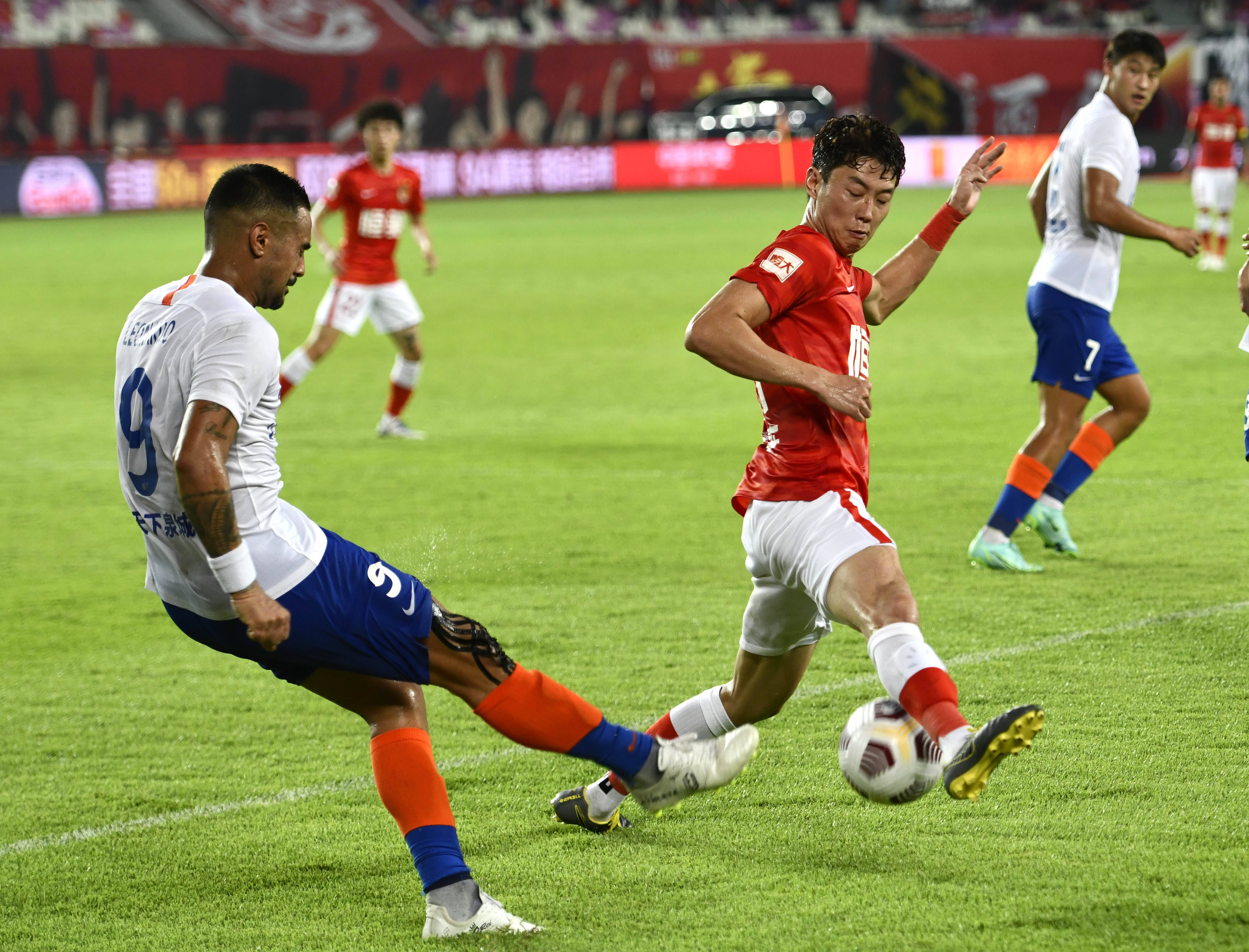 相关主题皮 相关主题皮